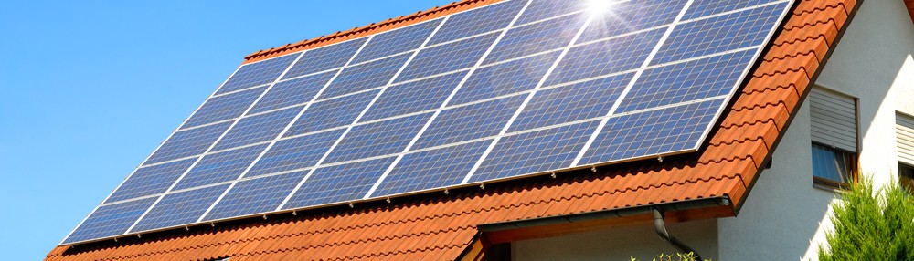 Cum influențează vegetația din jur performanța unui sistem fotovoltaic