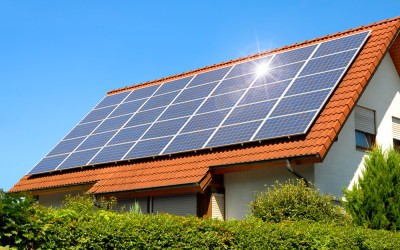 Cum influențează vegetația din jur performanța unui sistem fotovoltaic